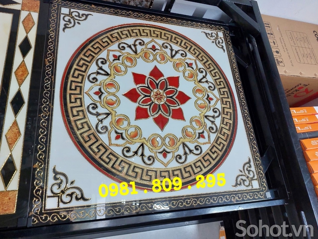 Gạch chiếu nghỉ 60x60cm MD756