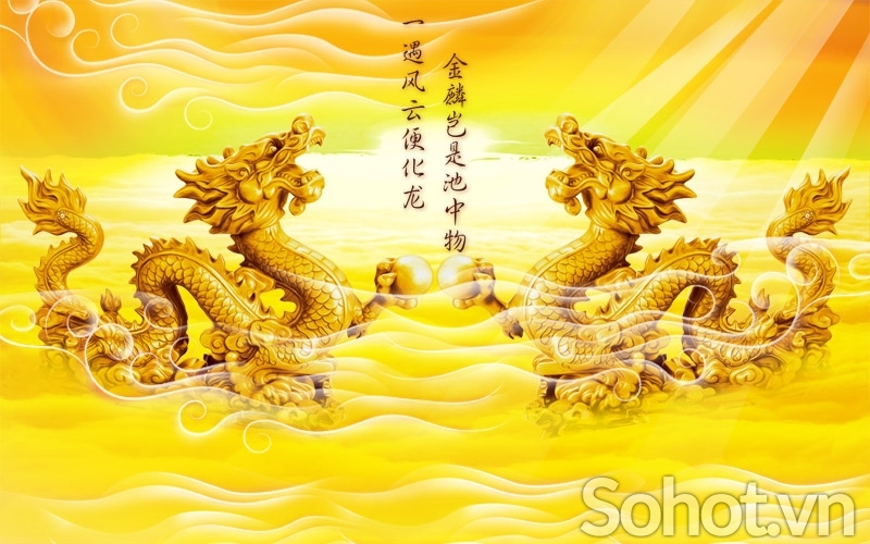Tranh gạch 3d rồng phượng - SDF54