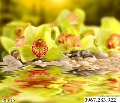 Gạch 3D- Tranh trang trí hoa lan