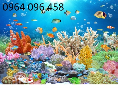 Tranh gạch 3d ốp bể bơi - 53CVB