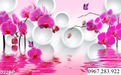 Gạch ốp tường 3D hoa lan