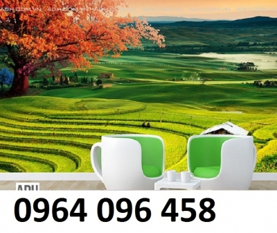 Tranh gạch 3d ruộng bậc thang - CX43