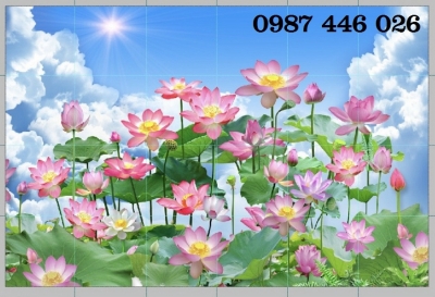Gach tranh hoa sen 3d HP9733