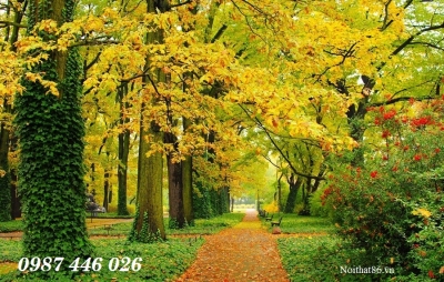 Tranh 3d hàng cây mùa thu- tranh gạch 3d