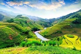 Tranh gạch 3d ruộng bậc thang - XVCC65