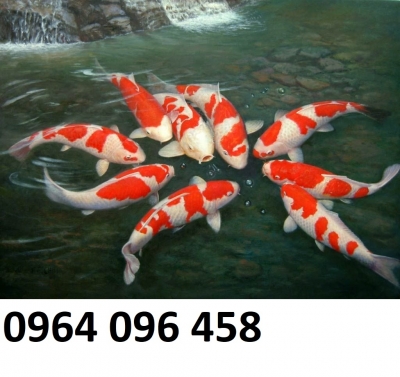 Tranh gạch 3d ốp tường cá koi - MX4312