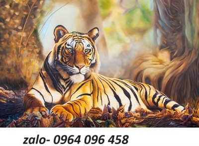 Tranh gạch 3d con hổ - gạch tranh 3d con hổ - SXC5