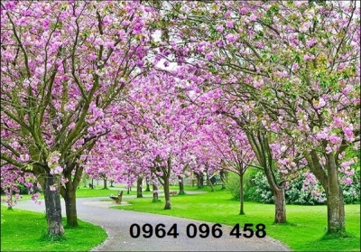 Gạch tranh 3d mẫu tranh phong cảnh thiên nhiên - LLM09
