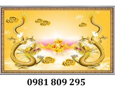 Mẫu gạch 3d hình rồng trang trí