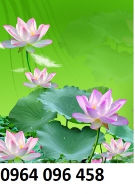 Tranh gạch 3d dán tường hoa sen - 765S