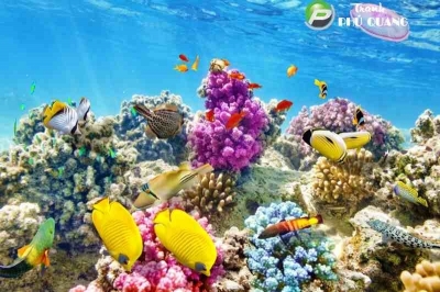Tranh gạch 3d cá heo đại dương - 043XC