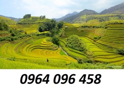Tranh gạch 3d ruộng bậc thang - SXV887