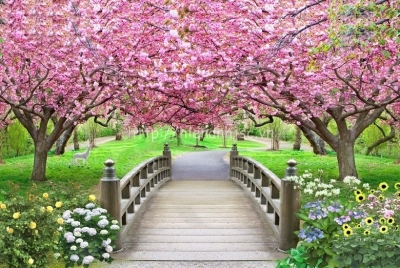 Tranh gạch 3d trang trí phòng khách - CCX22