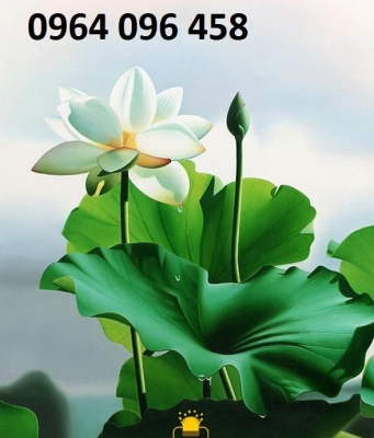 Tranh gạch 3d hoa sen - gạch tranh 3d hoa sen - NMB66
