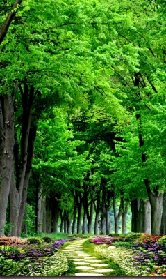 Tranh gạch rừng cây 3d - ADC733