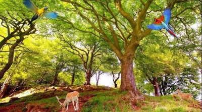 Tranh gạch 3d phong cảnh rừng cây - DCN8