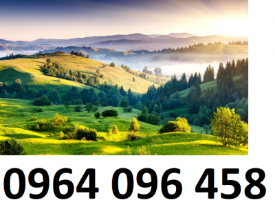 Tranh 3d - tranh gạch 3d - gạch tranh 3d - XBV94