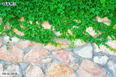 tranh gạch 3d - tranh hoa hồng - NC23
