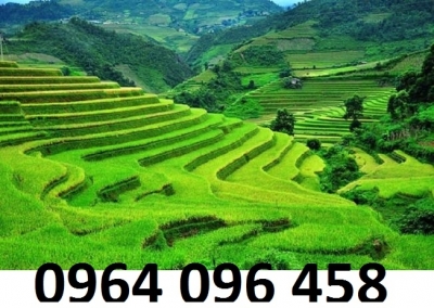 Tranh gạch 3d ruộng bậc thang - XVCC65
