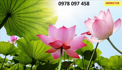 Bức tranh hoa sen - gạch tranh 3D