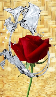 tranh bông hồng 3d