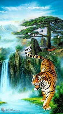 Tranh gạch 3d hổ rồng - SXXX77