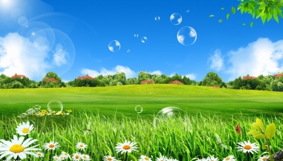 Tranh gạch 3d ốp tường cảnh thiên nhiên - FAAZ1