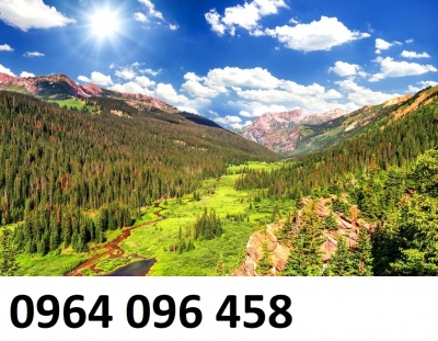 Tranh 3d - tranh gạch 3d - gạch tranh 3d - XBV94