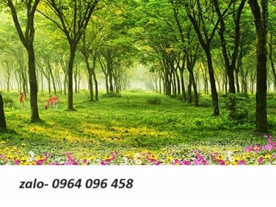 Gạch tranh 3d phong cảnh thiên nhiên - DCXS