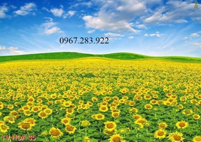 Tranh gạch- Tranh phong cảnh vườn hoa