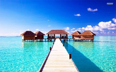 gạch 3d ốp tường cảnh biển