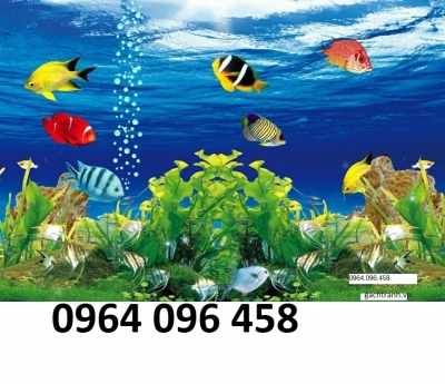 Gạch tranh 3d cá heo đại dương - NMMM04