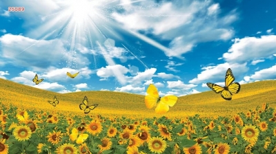 Tranh đồng quê 3d - tranh gạch 3d đồng quê - HNM90