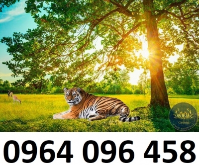Tranh gạch 3d phong thủy ngủ hổ  - SXV84