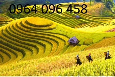 gạch tranh 3d mẫu tranh núi