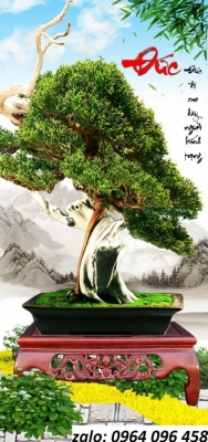 Tranh gạch 3d cây cảnh - FSCC3