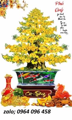 Tranh gạch 3d hoa mai - gạch tranh 3d hoa mai - 098NB