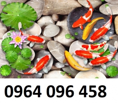 Tranh gạch men 3d ốp tường mẫu cá koi - XVC55