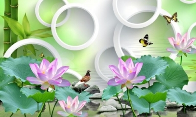 Tranh hoa sen 3d tranh ạch 3d hoa sen KJH6