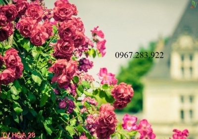 Tranh gạch- Tranh vườn hoa