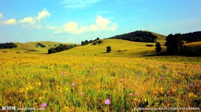 Tranh 3d - tranh gạch 3d - gạch tranh 3d - XBV94