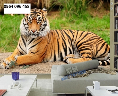 Tranh hổ - tranh gạch 3d con hổ - 871AP