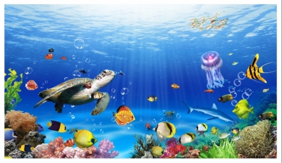 Tranh gạch 3d cá heo đại dương - VCXZ3