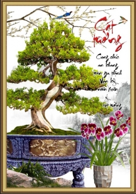 Tranh gạch 3d ốp tường cây bonsai - 67CVB