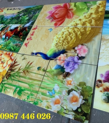 Gạch 3d tranh in chim công thực tế HP9772