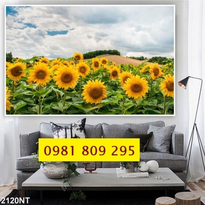 Tranh cánh đồng hoa 3d cao cấp JP59669