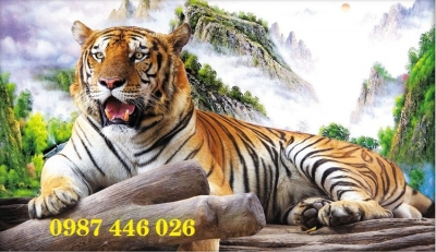 Tranh gạch con hổ HP96233