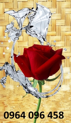 Tranh gạch 3d hoa hồng - DAZ33