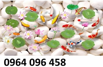 gạch tranh 3d ốp tường cá chép phong thủy - HS1