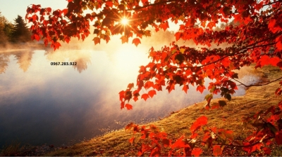 Tranh phong cảnh mùa thu lá đỏ- Tranh gạch